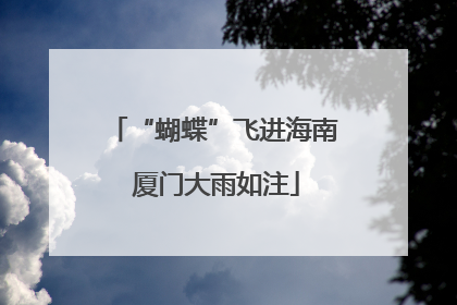 “蝴蝶”飞进海南 厦门大雨如注