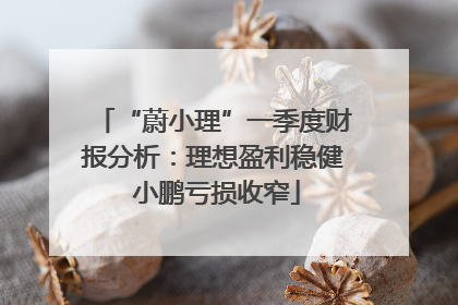 “蔚小理”一季度财报分析：理想盈利稳健 小鹏亏损收窄