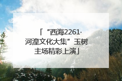 “西海2261·河湟文化大集”玉树主场精彩上演