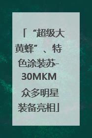 “超级大黄蜂”、特色涂装苏-30MKM 众多明星装备亮相