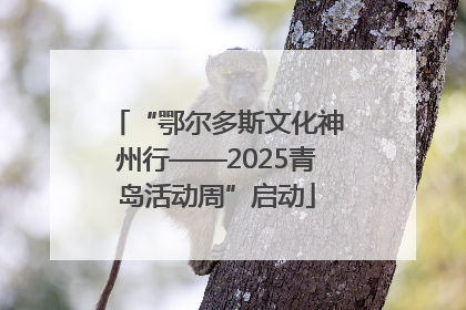 “鄂尔多斯文化神州行——2025青岛活动周”启动
