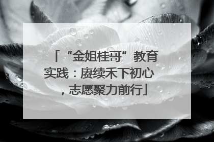“金姐桂哥”教育实践：赓续禾下初心，志愿聚力前行