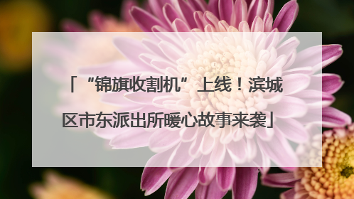 “锦旗收割机”上线！滨城区市东派出所暖心故事来袭