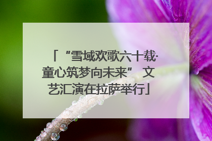 “雪域欢歌六十载·童心筑梦向未来” 文艺汇演在拉萨举行