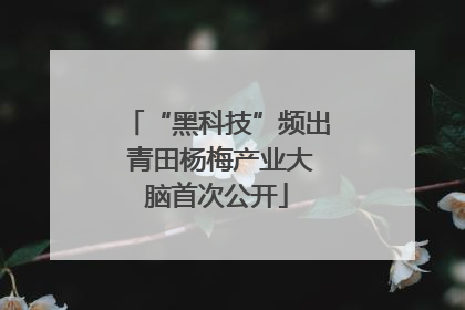 “黑科技”频出 青田杨梅产业大脑首次公开