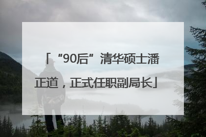 “90后”清华硕士潘正道，正式任职副局长