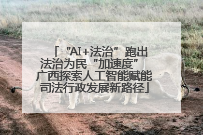 “AI+法治”跑出法治为民“加速度” 广西探索人工智能赋能司法行政发展新路径
