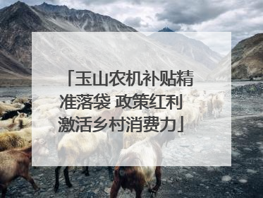 玉山农机补贴精准落袋 政策红利激活乡村消费力