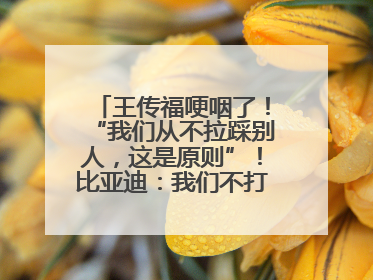 王传福哽咽了！“我们从不拉踩别人，这是原则”！比亚迪：我们不打价格战