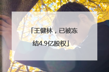王健林，已被冻结4.9亿股权