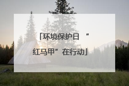 环境保护日 “红马甲”在行动