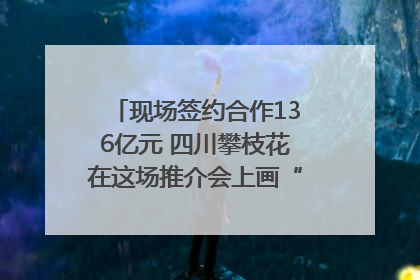 现场签约合作136亿元 四川攀枝花在这场推介会上画“图谱”列“清单”