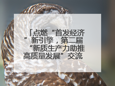 点燃“首发经济”新引擎，第二届“新质生产力助推高质量发展”交流会在成都举行