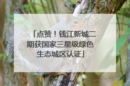 点赞！钱江新城二期获国家三星级绿色生态城区认证