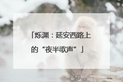 烁渊：延安西路上的“夜半歌声”