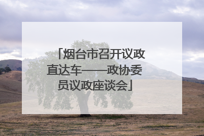 烟台市召开议政直达车——政协委员议政座谈会