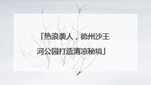 热浪袭人，德州沙王河公园打造清凉秘境