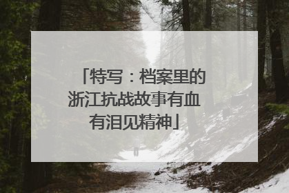 特写：档案里的浙江抗战故事有血有泪见精神