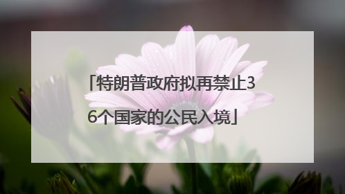 特朗普政府拟再禁止36个国家的公民入境