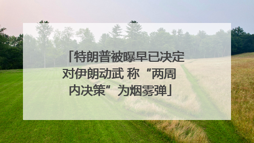 特朗普被曝早已决定对伊朗动武 称“两周内决策”为烟雾弹