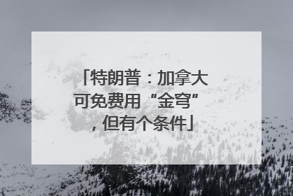 特朗普：加拿大可免费用“金穹”，但有个条件
