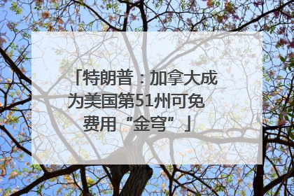 特朗普：加拿大成为美国第51州可免费用“金穹”