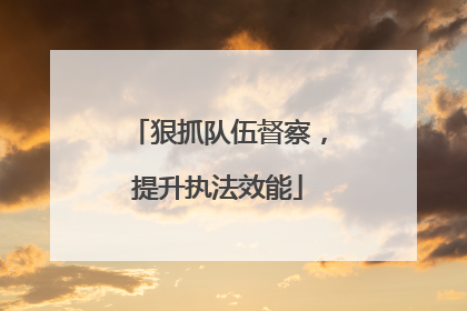 狠抓队伍督察，提升执法效能