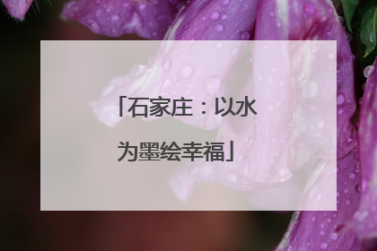 石家庄：以水为墨绘幸福
