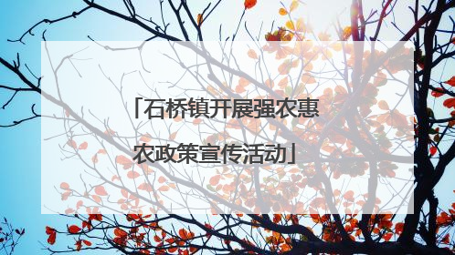 石桥镇开展强农惠农政策宣传活动