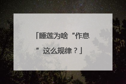 睡莲为啥“作息”这么规律？