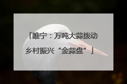 睢宁：万吨大蒜拨动乡村振兴“金蒜盘”