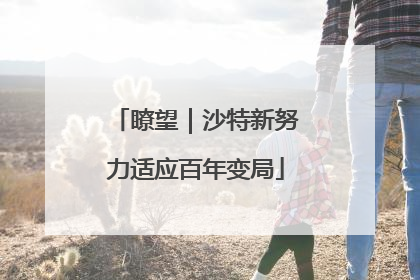 瞭望｜沙特新努力适应百年变局