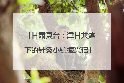 甘肃灵台：津甘共建下的针灸小镇振兴记
