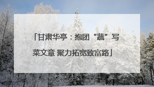 甘肃华亭：抱团“蔬”写菜文章 聚力拓宽致富路