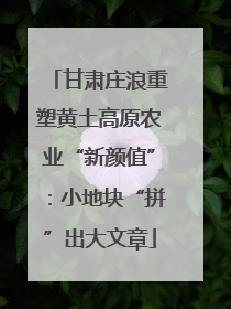甘肃庄浪重塑黄土高原农业“新颜值”：小地块“拼”出大文章