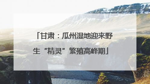 甘肃：瓜州湿地迎来野生“精灵”繁殖高峰期