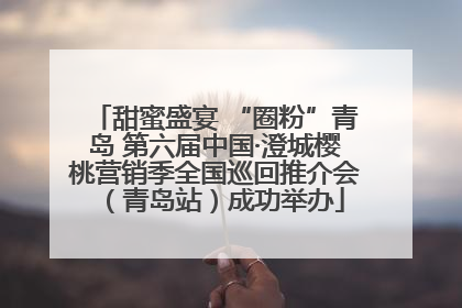 甜蜜盛宴 “圈粉”青岛 第六届中国·澄城樱桃营销季全国巡回推介会（青岛站）成功举办