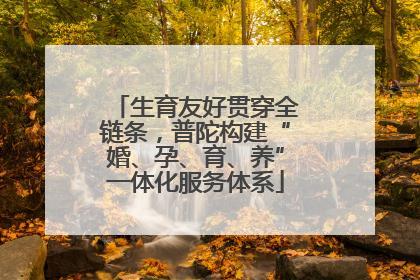 生育友好贯穿全链条，普陀构建“婚、孕、育、养”一体化服务体系