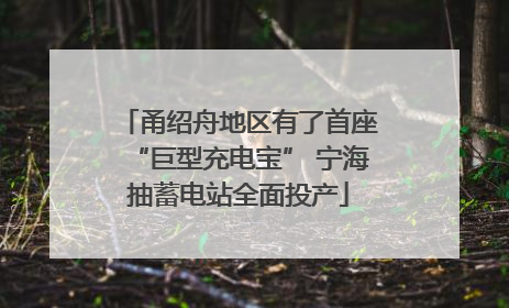 甬绍舟地区有了首座“巨型充电宝” 宁海抽蓄电站全面投产