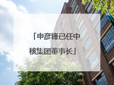 申彦锋已任中核集团董事长