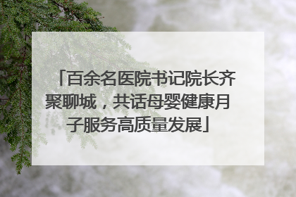 百余名医院书记院长齐聚聊城，共话母婴健康月子服务高质量发展