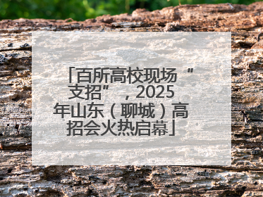 百所高校现场“支招”，2025年山东（聊城）高招会火热启幕
