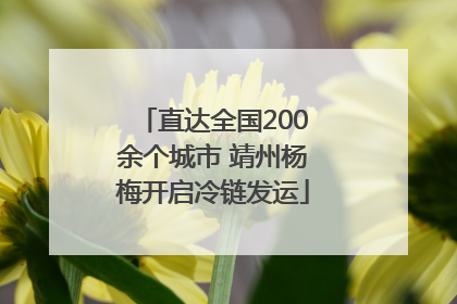 直达全国200余个城市 靖州杨梅开启冷链发运