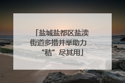 盐城盐都区盐渎街道多措并举助力“秸”尽其用