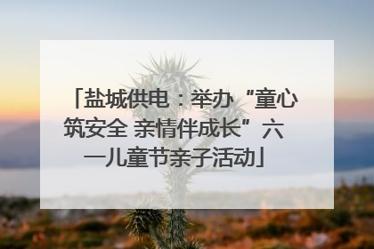 盐城供电：举办“童心筑安全 亲情伴成长”六一儿童节亲子活动