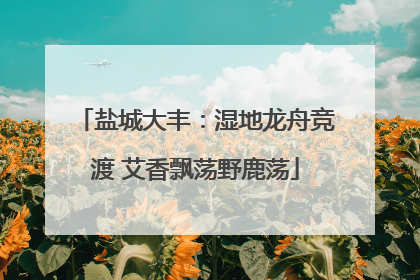 盐城大丰：湿地龙舟竞渡 艾香飘荡野鹿荡