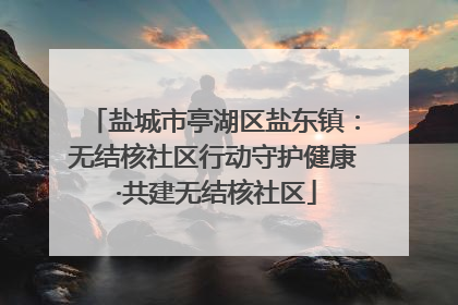 盐城市亭湖区盐东镇：无结核社区行动守护健康 ·共建无结核社区