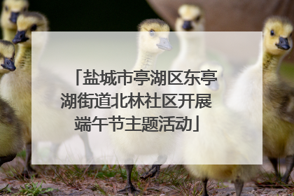 盐城市亭湖区东亭湖街道北林社区开展端午节主题活动