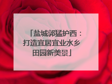 盐城郭猛护西：打造宜居宜业水乡田园新美景