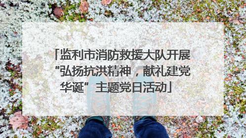监利市消防救援大队开展“弘扬抗洪精神，献礼建党华诞”主题党日活动